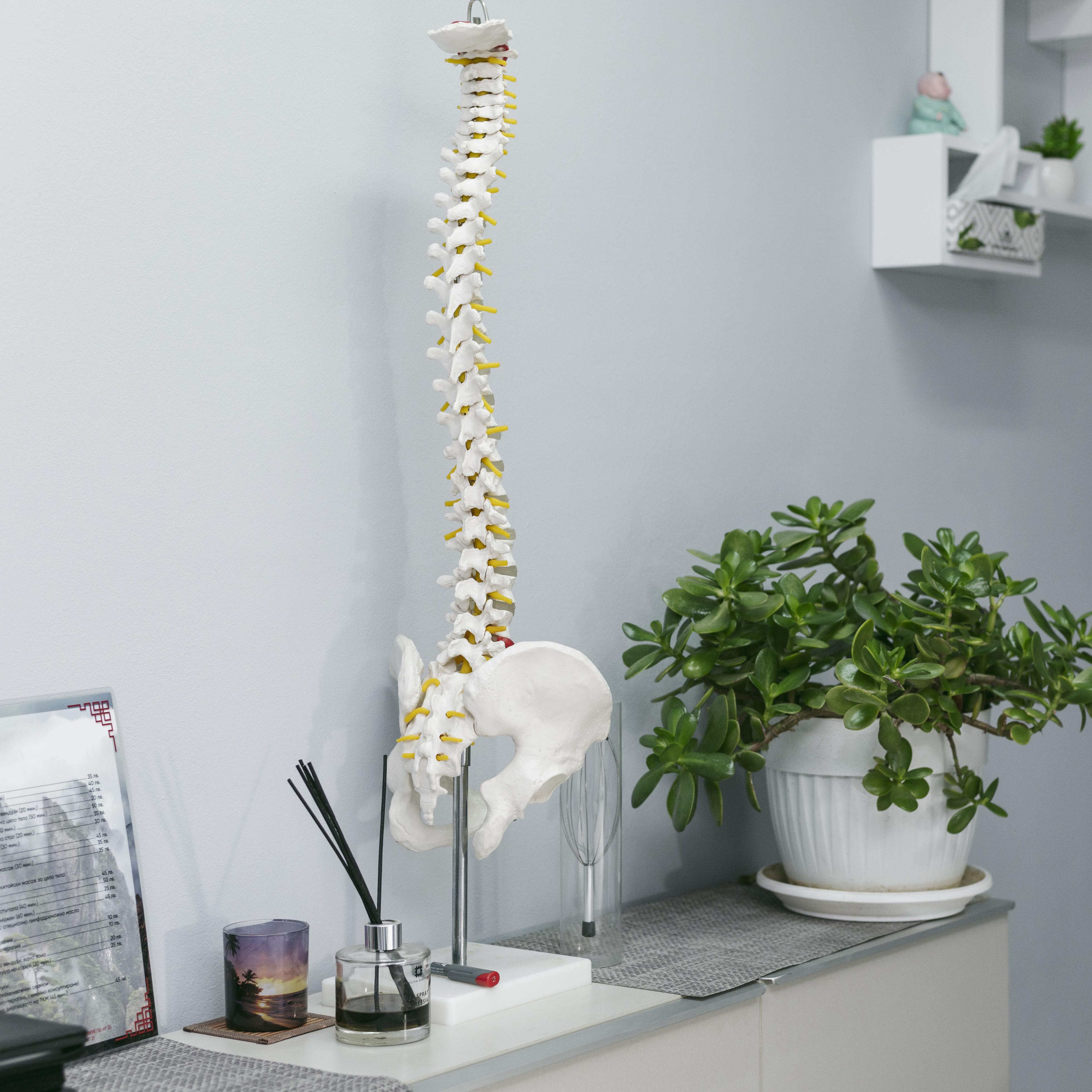 Un aperçu de votre espace de consultation dédié à l'ostéopathie.